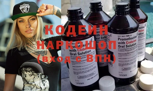 гидра Няндома