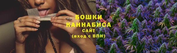 spice Алзамай