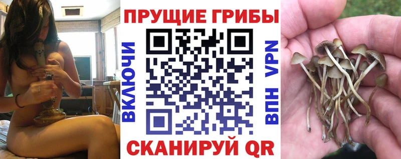 гидра рабочий сайт  Новосиль  Псилоцибиновые грибы мухоморы 